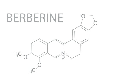 Permeability Enhancers and Berberine